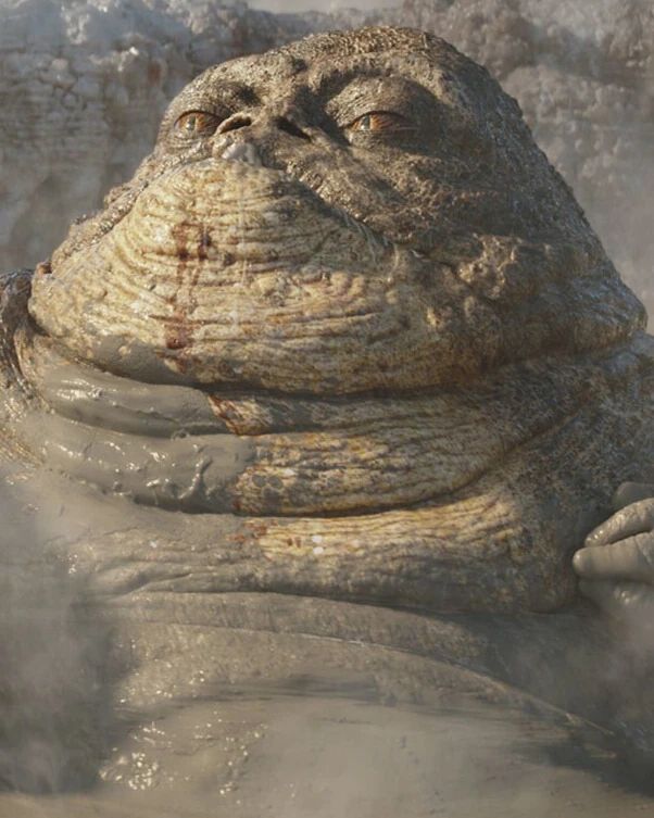 Hutt Spa Guest (Lanupa)