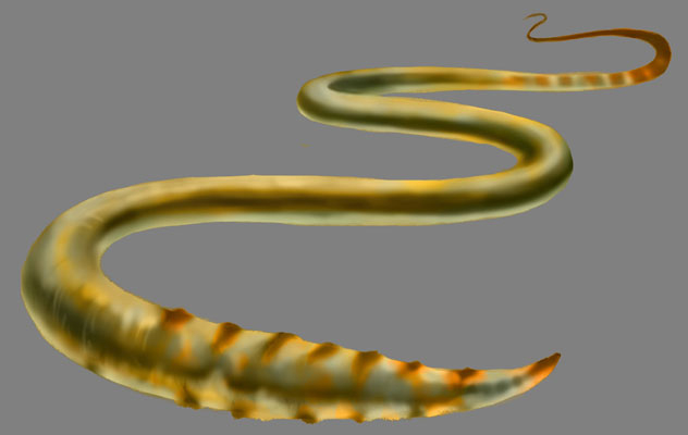 Geonosian Brain Worm