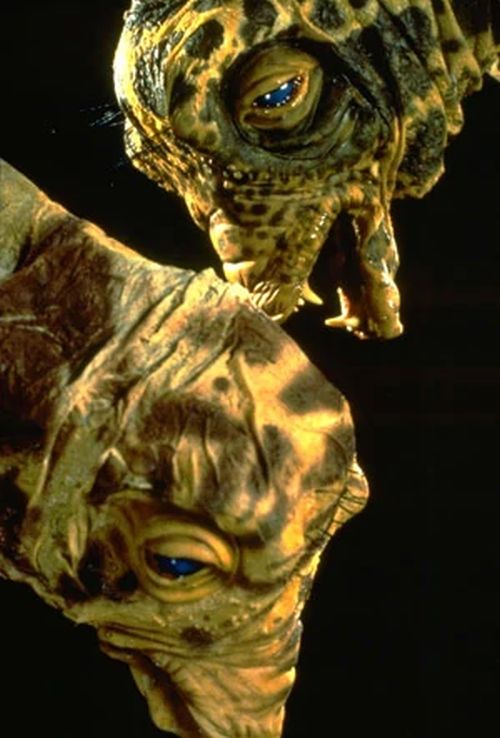 Cane Adiss (Yuvernian Pilot/Smuggler)