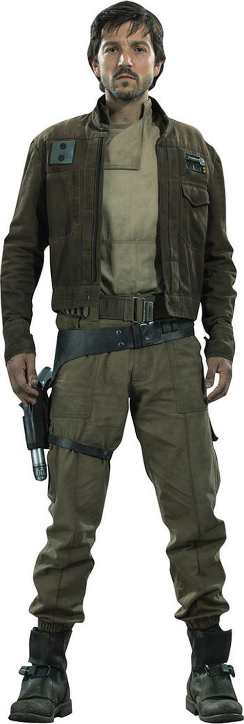 Cassian Jeron Andor (Human Rebel Agent) {as of Andor Season 2 / Rogue One}