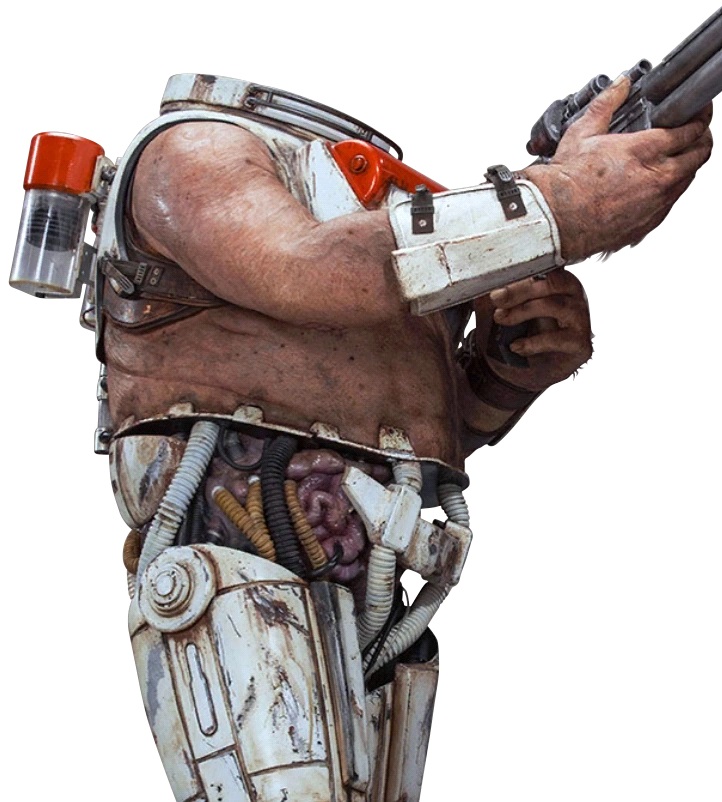 Caysin Bog (Humanoid Cyborg Mercenary)