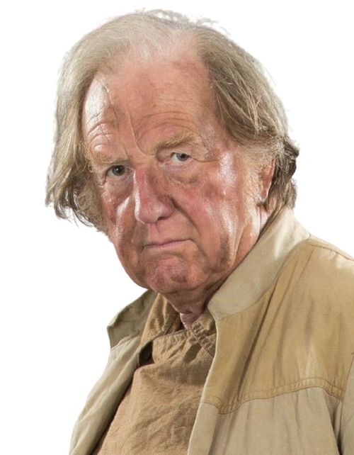 General Dustil Forell (Human Rebel Logistics Officer)