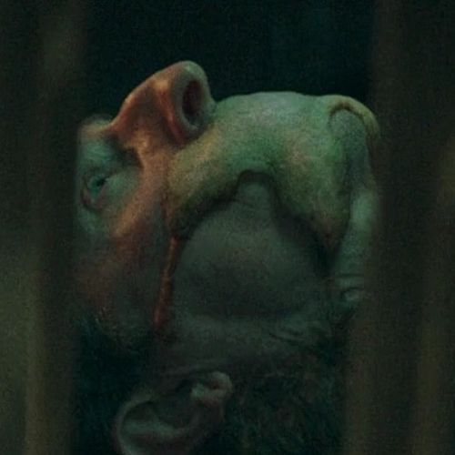 Dybbuk (Tranquilising Parasyte)