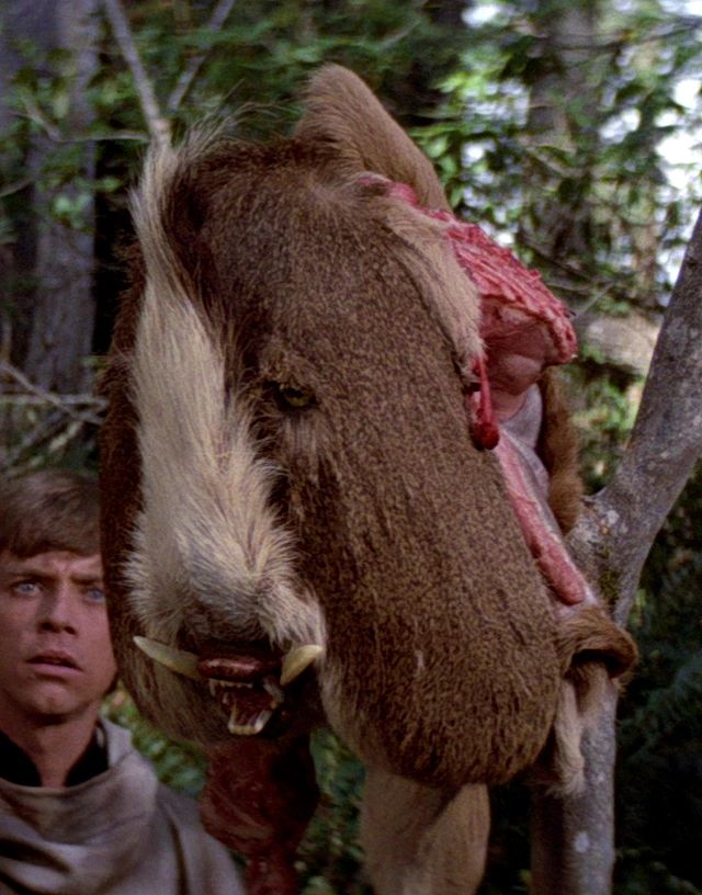 Verkle (Endorian Rodent)