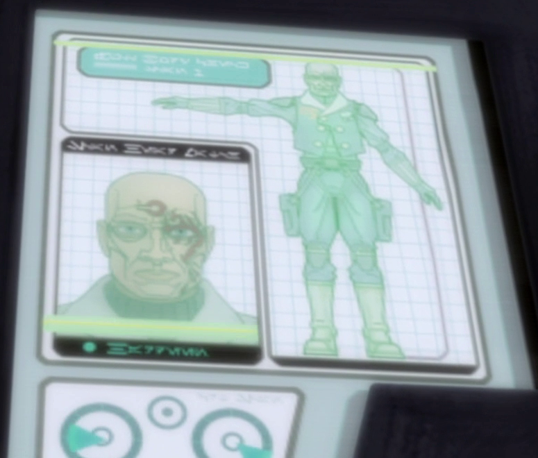 Facial transformation program