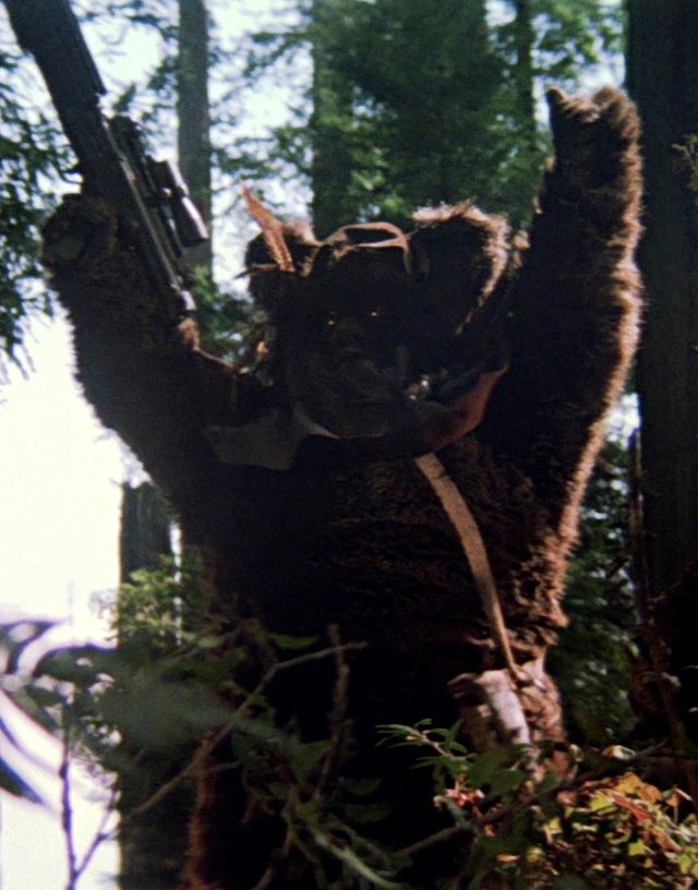 Flitchee (Ewok Warrior)