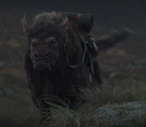 Howler (Rat-Wolf Riding Beast)