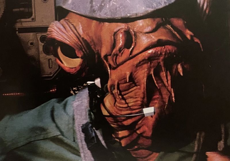 Ika Sulko (Mon Calamari Rebel Pilot)