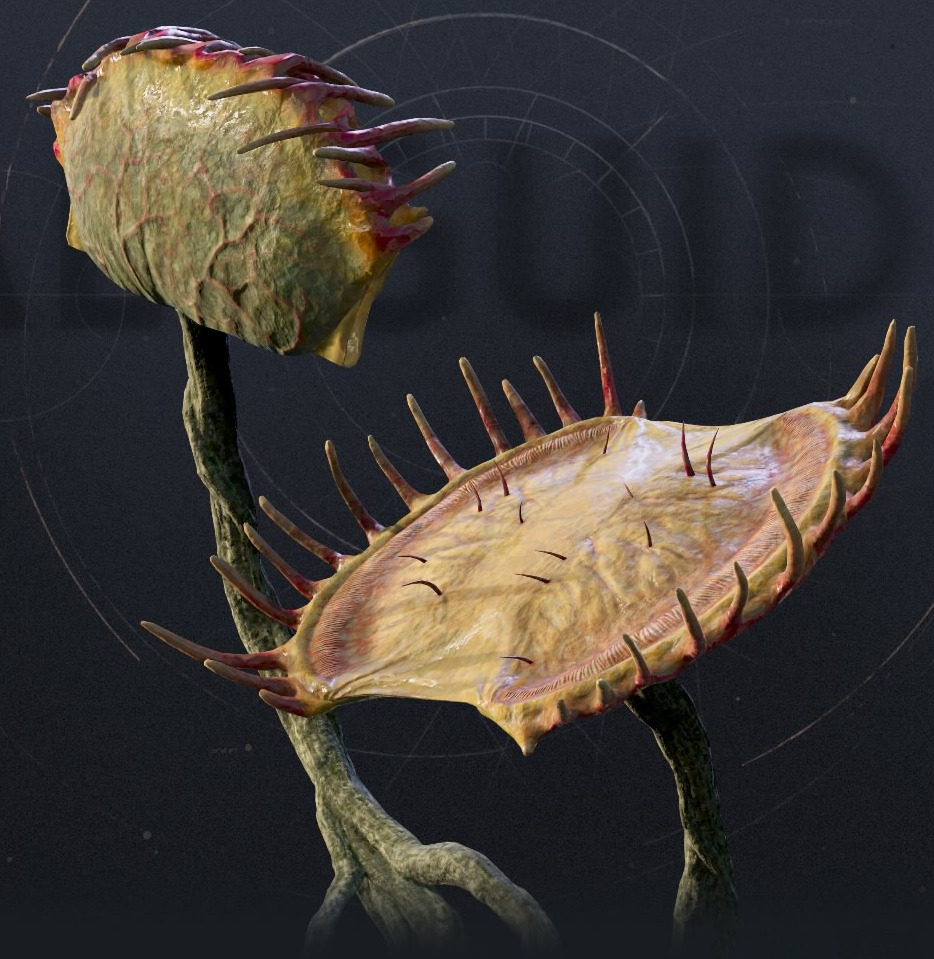 Jaw Plant (Carnivorous Plant)