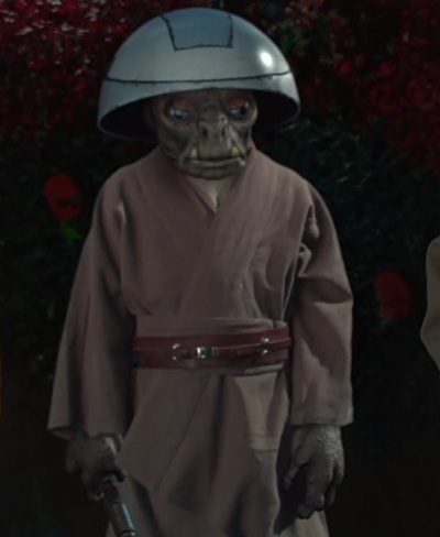 Jempa (Whiphid Jedi Youngling)