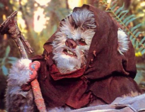 Kazak (Ewok Elder)