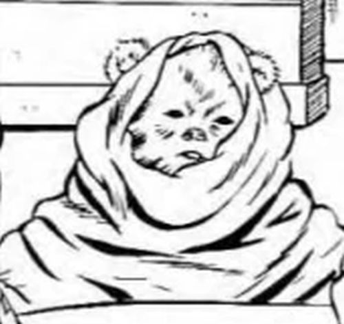 Keoulkeech (Ewok Shaman)