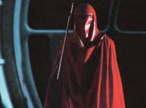 Myn Kyneugh (Human Royal Guardsman Instructor)