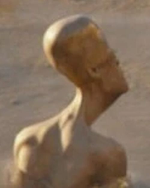 Muun Male Banker (Spa Guest)