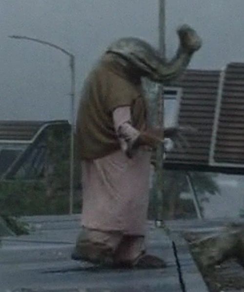 Mrs. Ikk (Ithorian Civilian)