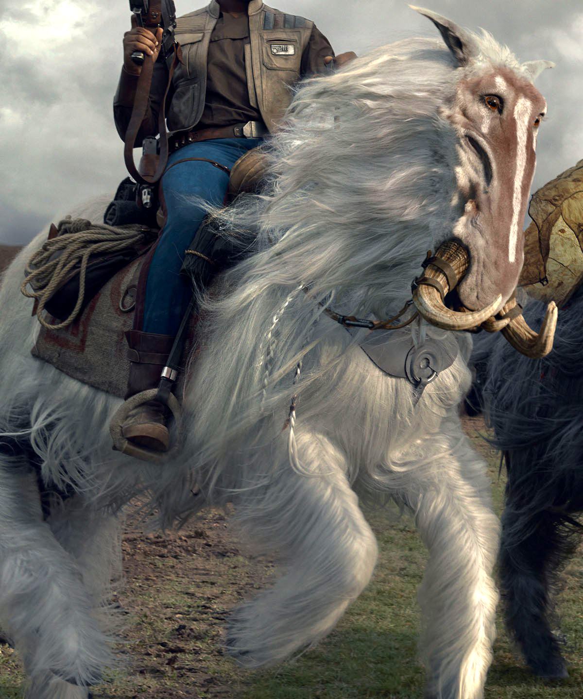 Orbak (ridable mount)