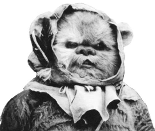 Peekpa (Ewok Hacker)