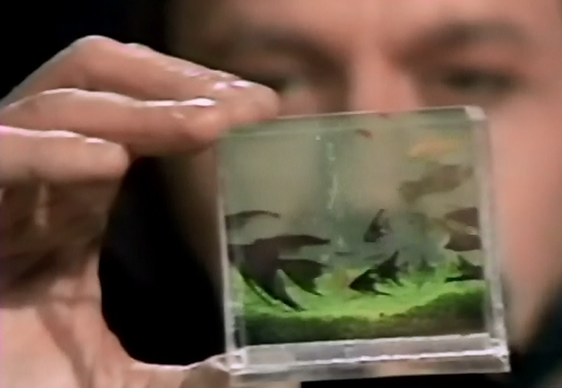 Pocket-sized aquarium