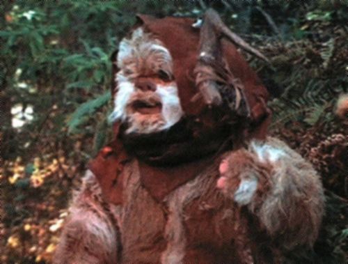 Rabin (Ewok Beast Tamer/Hunter/Loner/Thief)