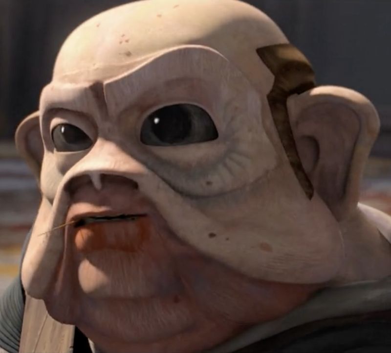 Raspar Six (Sullustan Depot Manager)