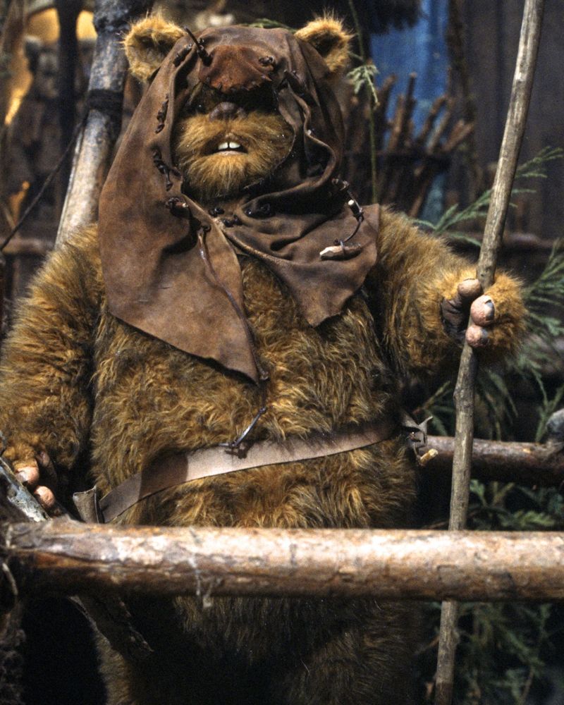 Romba (Ewok Warrior)
