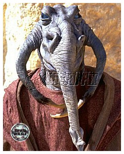 Scohontas (Pacithhip Civilian)