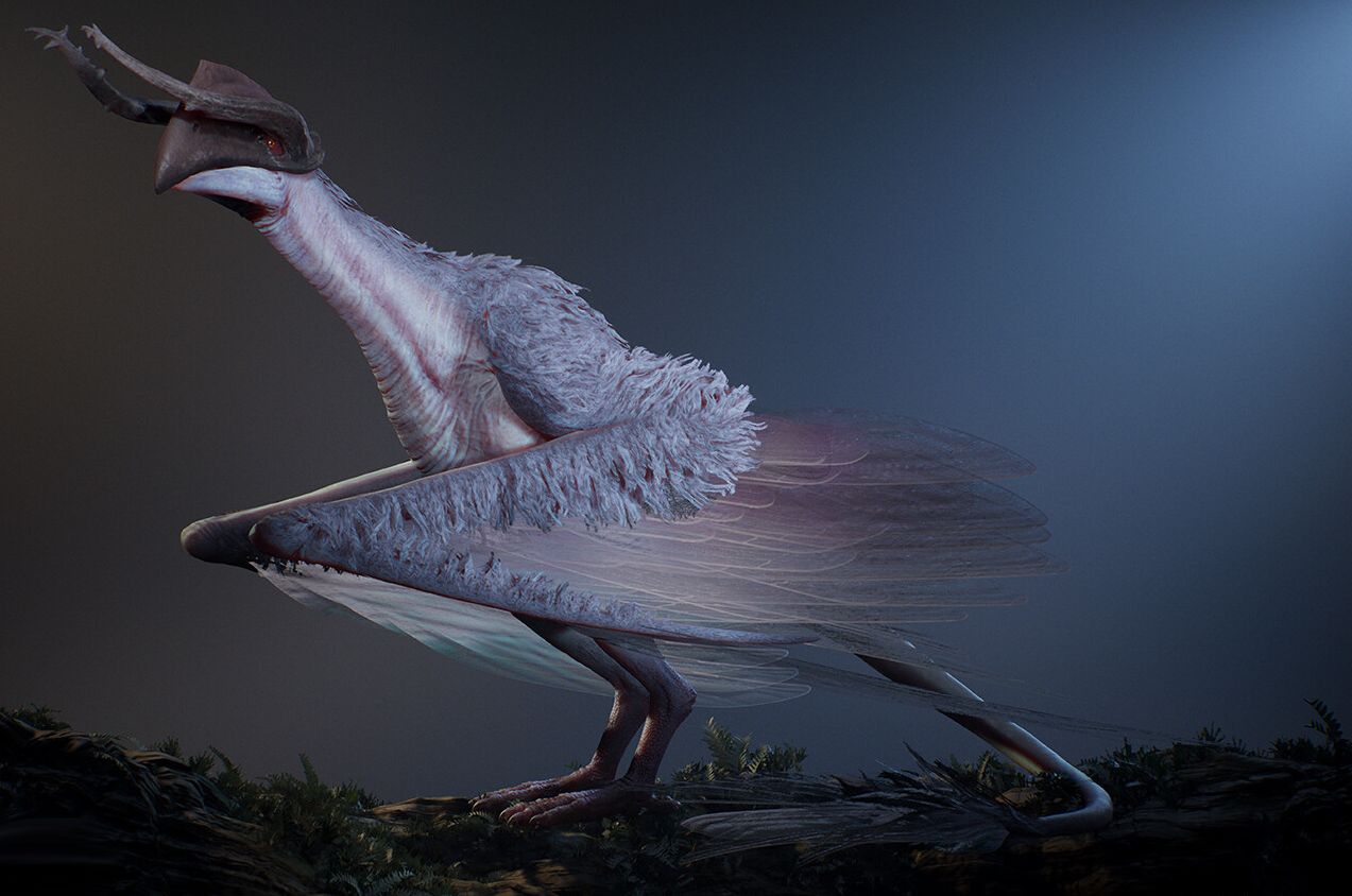 Shyyyo bird (Carnivorous Bird)