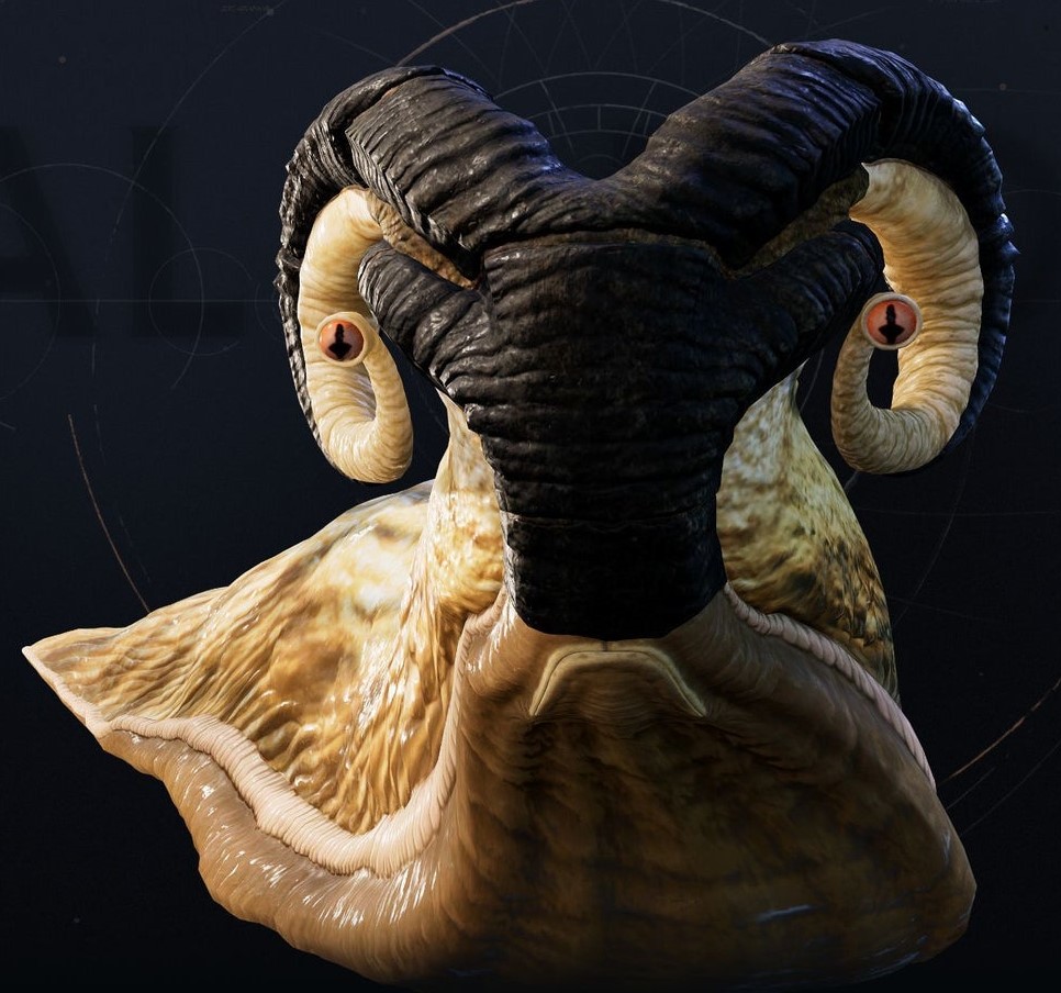 Slyyyg (Carnivorous Gastropod)