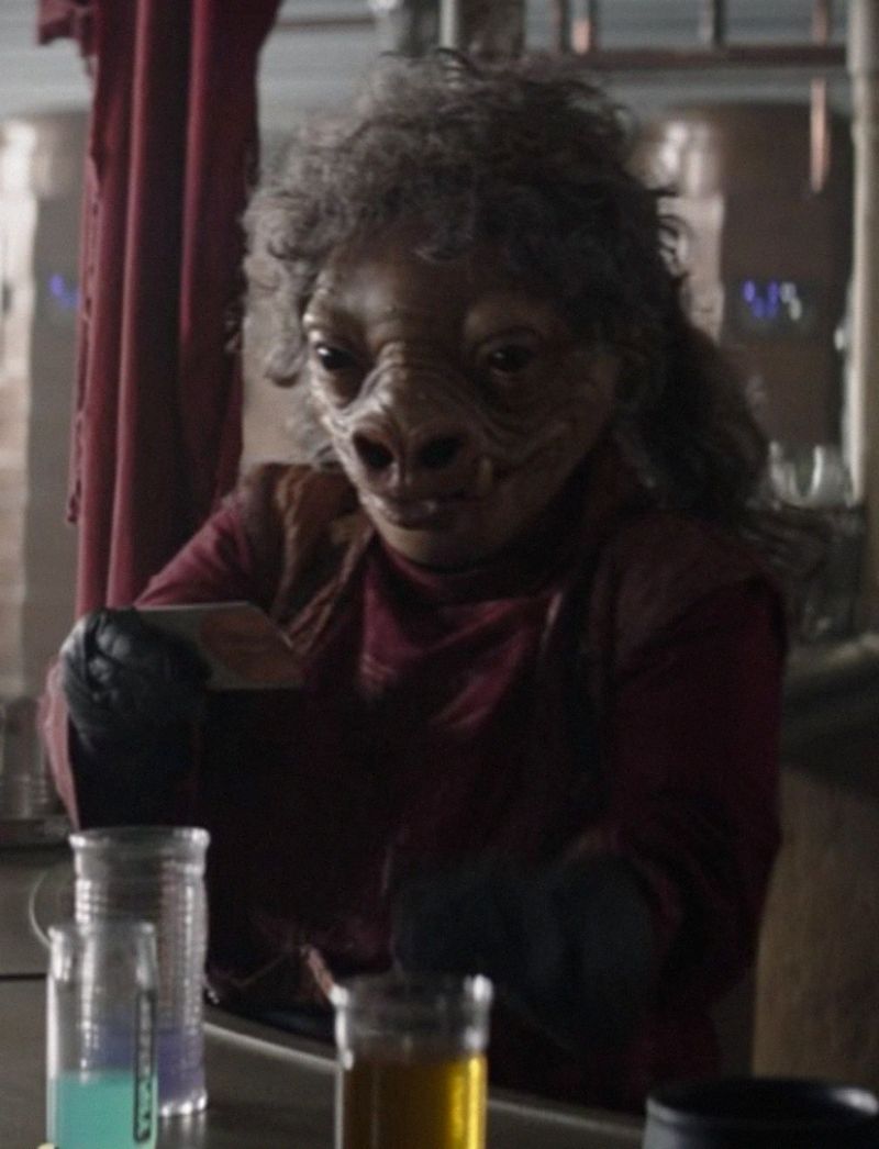 Unidentified Snivvian Bartender