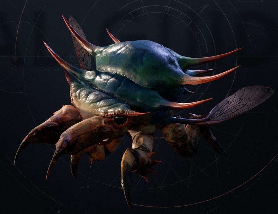 Splox (Omnivorous Insect)