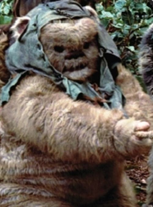 Stemzee (Ewok Warrior)