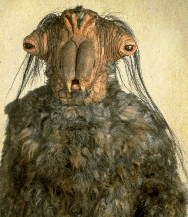 Tanus Spijek (Elom Rebel Spy)