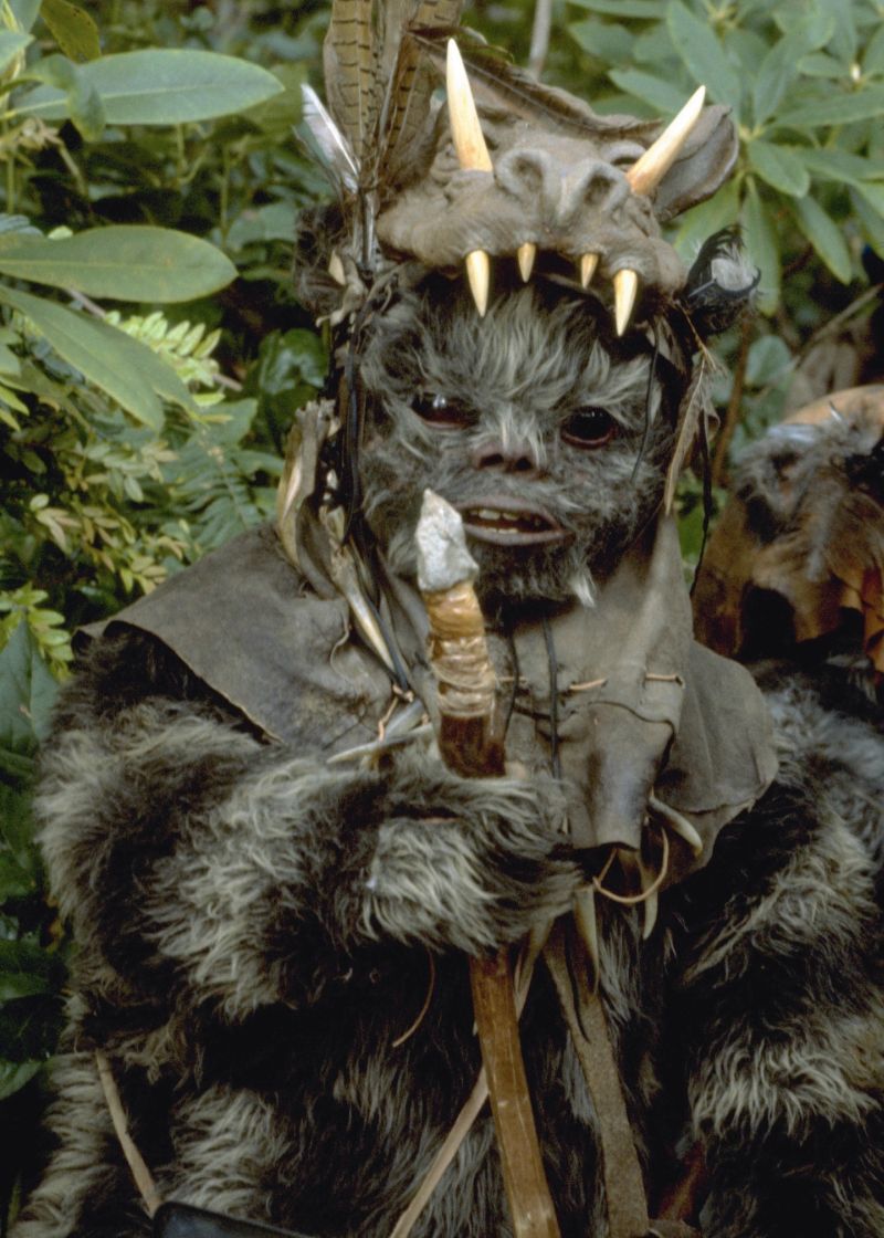 Teebo (Ewok Hunter)