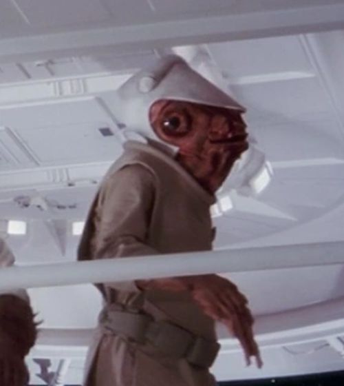 Thaneespi (Mon Calamari Rebel Officer)