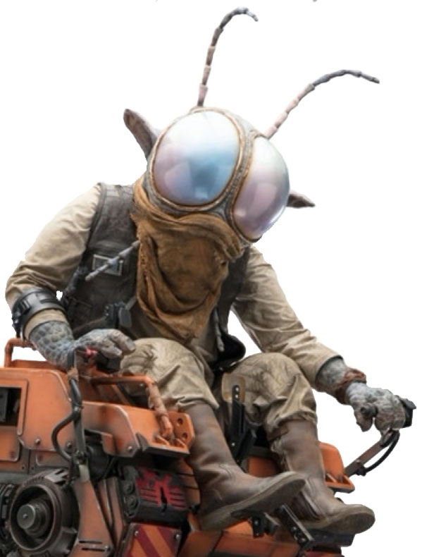 Vazzet Dipterz (Cyclorrian Technician)
