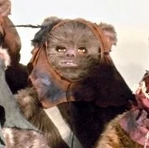 Wijunkee (Ewok Warrior)