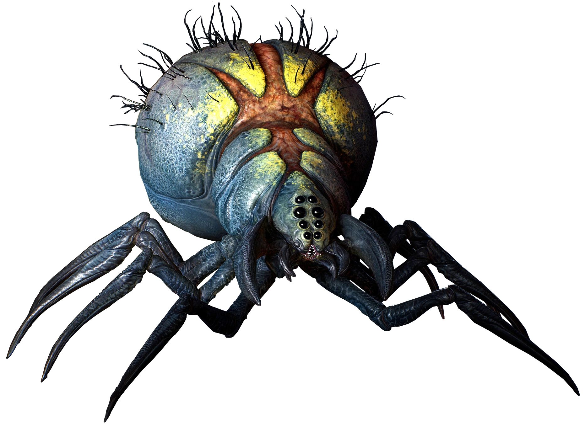 Wyyyschokk (Giant Predatory Spider)